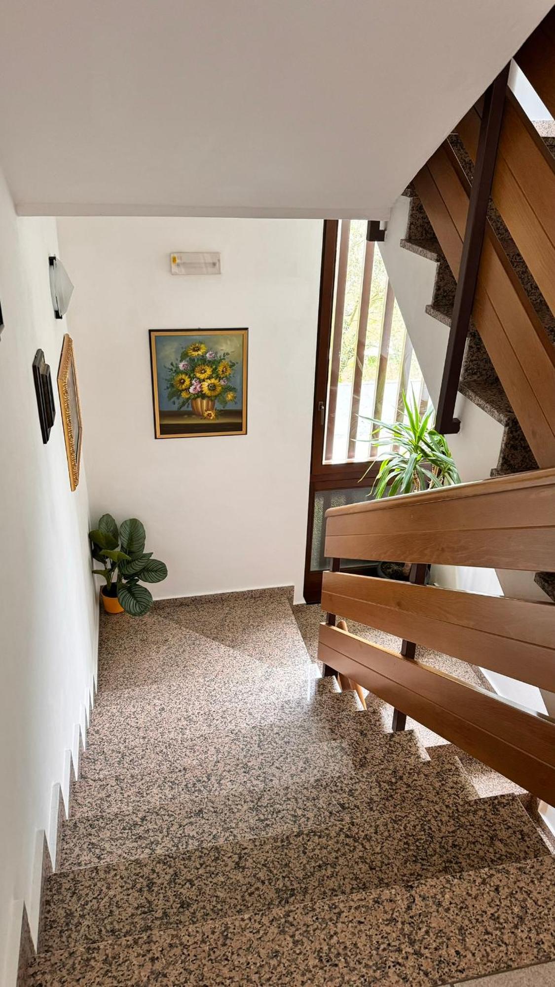 טנו Albergo Stella Alpina מראה חיצוני תמונה